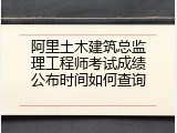 阿里土木建筑总监理工程师考试成绩公布时间如何查询