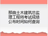 那曲土木建筑总监理工程师考试成绩公布时间如何查询