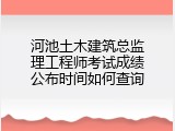 河池土木建筑总监理工程师考试成绩公布时间如何查询