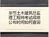 毕节土木建筑总监理工程师考试成绩公布时间如何查询