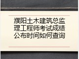濮阳土木建筑总监理工程师考试成绩公布时间如何查询