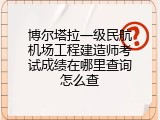 博尔塔拉一级民航机场工程建造师考试成绩在哪里查询怎么查