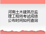 河南土木建筑总监理工程师考试成绩公布时间如何查询