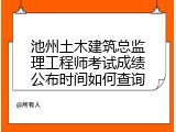 池州土木建筑总监理工程师考试成绩公布时间如何查询