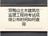 双鸭山土木建筑总监理工程师考试成绩公布时间如何查询