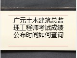 广元土木建筑总监理工程师考试成绩公布时间如何查询