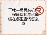 玉林一级民航机场工程建造师考试成绩在哪里查询怎么查