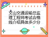文山交通运输总监理工程师考试合格线介绍具体多少分