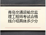 青岛交通运输总监理工程师考试合格线介绍具体多少分