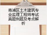 青浦区土木建筑专业监理工程师考试真题例题及考点解析