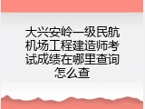 大兴安岭一级民航机场工程建造师考试成绩在哪里查询怎么查