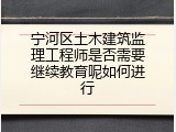 宁河区土木建筑监理工程师是否需要继续教育呢如何进行