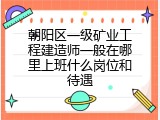 朝阳区一级矿业工程建造师一般在哪里上班什么岗位和待遇