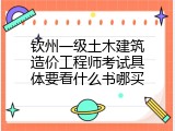 钦州一级土木建筑造价工程师考试具体要看什么书哪买