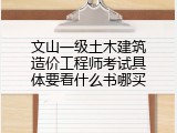 文山一级土木建筑造价工程师考试具体要看什么书哪买