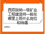 西双版纳一级矿业工程建造师一般在哪里上班什么岗位和待遇