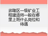 武隆区一级矿业工程建造师一般在哪里上班什么岗位和待遇
