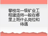 攀枝花一级矿业工程建造师一般在哪里上班什么岗位和待遇