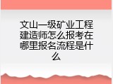 文山一级矿业工程建造师怎么报考在哪里报名流程是什么