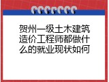 贺州一级土木建筑造价工程师都做什么的就业现状如何