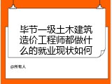 毕节一级土木建筑造价工程师都做什么的就业现状如何