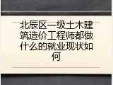 北辰区一级土木建筑造价工程师都做什么的就业现状如何