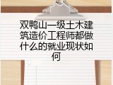 双鸭山一级土木建筑造价工程师都做什么的就业现状如何