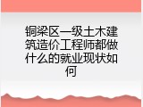 铜梁区一级土木建筑造价工程师都做什么的就业现状如何