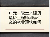 广元一级土木建筑造价工程师都做什么的就业现状如何