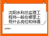 沈阳水利总监理工程师一般在哪里上班什么岗位和待遇