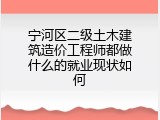 宁河区二级土木建筑造价工程师都做什么的就业现状如何