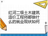 红河二级土木建筑造价工程师都做什么的就业现状如何
