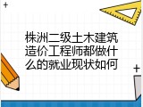 株洲二级土木建筑造价工程师都做什么的就业现状如何
