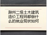 滁州二级土木建筑造价工程师都做什么的就业现状如何