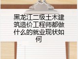 黑龙江二级土木建筑造价工程师都做什么的就业现状如何