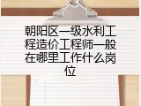 朝阳区一级水利工程造价工程师一般在哪里工作什么岗位