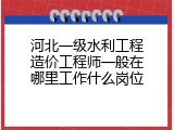 河北一级水利工程造价工程师一般在哪里工作什么岗位