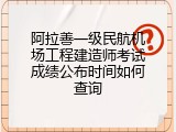 阿拉善一级民航机场工程建造师考试成绩公布时间如何查询