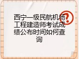 西宁一级民航机场工程建造师考试成绩公布时间如何查询