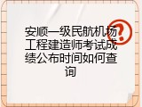 安顺一级民航机场工程建造师考试成绩公布时间如何查询