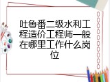 吐鲁番二级水利工程造价工程师一般在哪里工作什么岗位