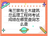 乌兰察布土木建筑总监理工程师考试成绩在哪里查询怎么查