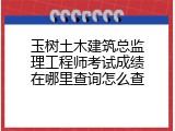 玉树土木建筑总监理工程师考试成绩在哪里查询怎么查