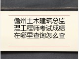 儋州土木建筑总监理工程师考试成绩在哪里查询怎么查