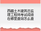 西藏土木建筑总监理工程师考试成绩在哪里查询怎么查