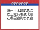 滁州土木建筑总监理工程师考试成绩在哪里查询怎么查