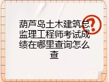 葫芦岛土木建筑总监理工程师考试成绩在哪里查询怎么查