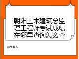 朝阳土木建筑总监理工程师考试成绩在哪里查询怎么查