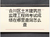 合川区土木建筑总监理工程师考试成绩在哪里查询怎么查