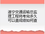遂宁交通运输总监理工程师考完多久可以查成绩如何查